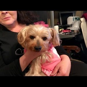 Meet your Posher, Barbara